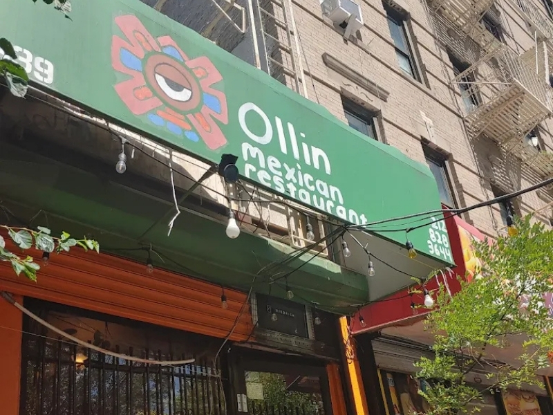 Ollin NYC